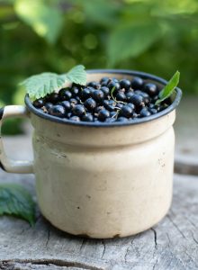 joanna-stolowicz-KcDwPR4cL5k-unsplash